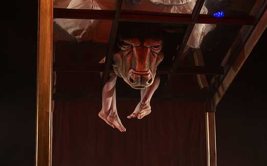 Леди Макбет Мценского уезда