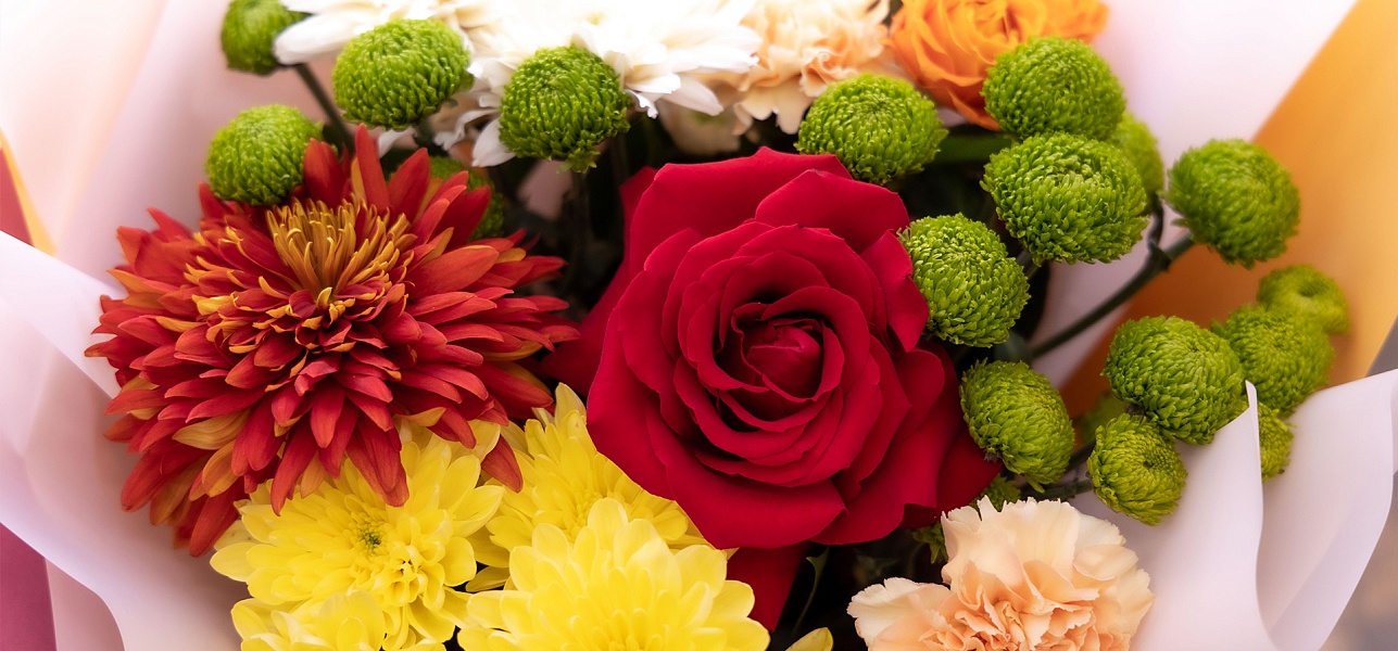 Родная душа