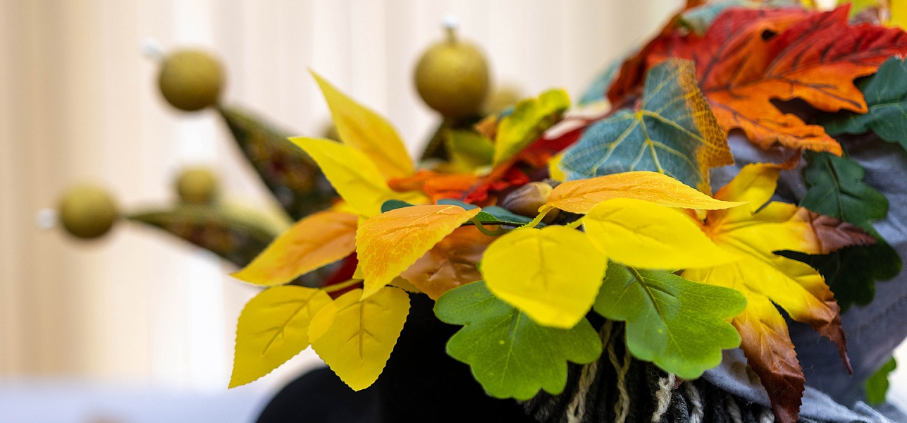 Семейная история вот-вот начнётся