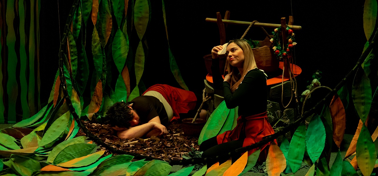 Дикая история в Новом театре кукол