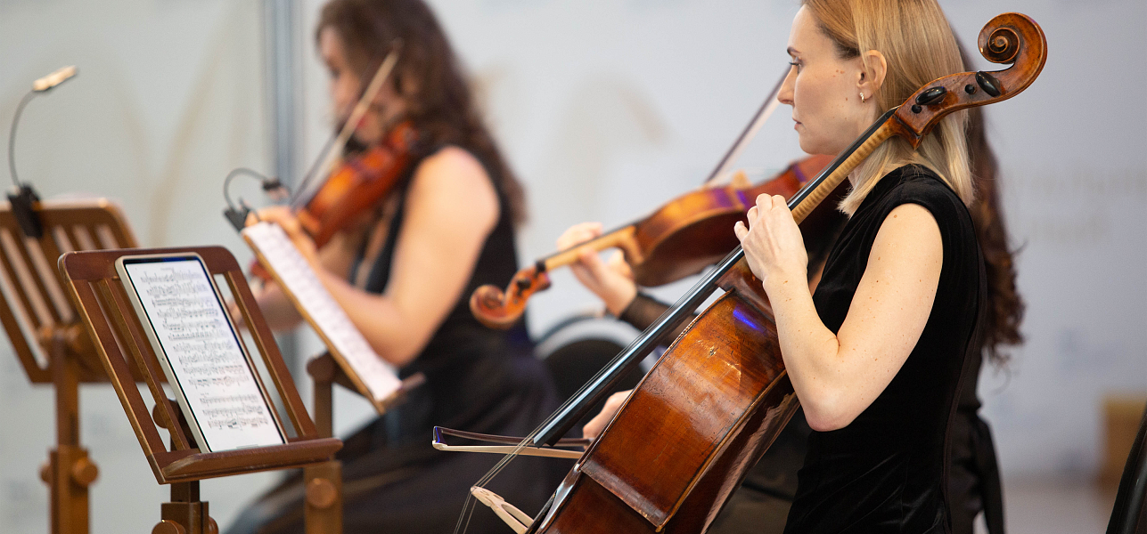 16 струн на четверых