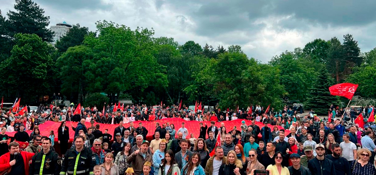 Одуванчики на крови