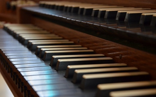 Век органной музыки
