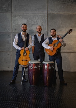 Струны и ритмы