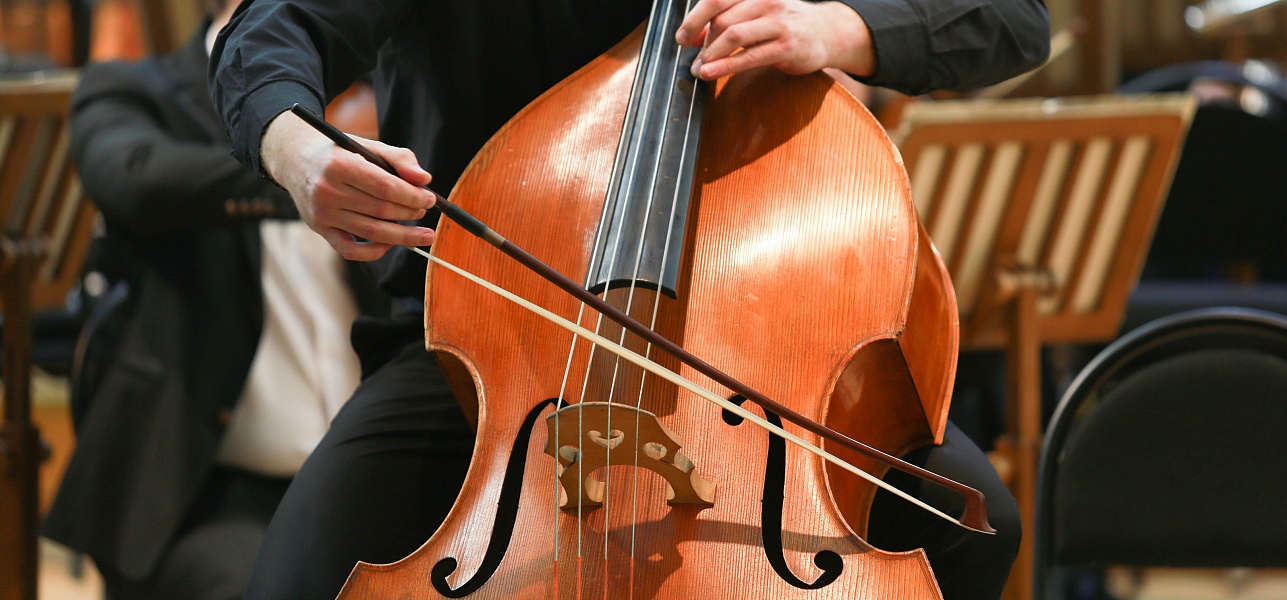 Играем на струнах