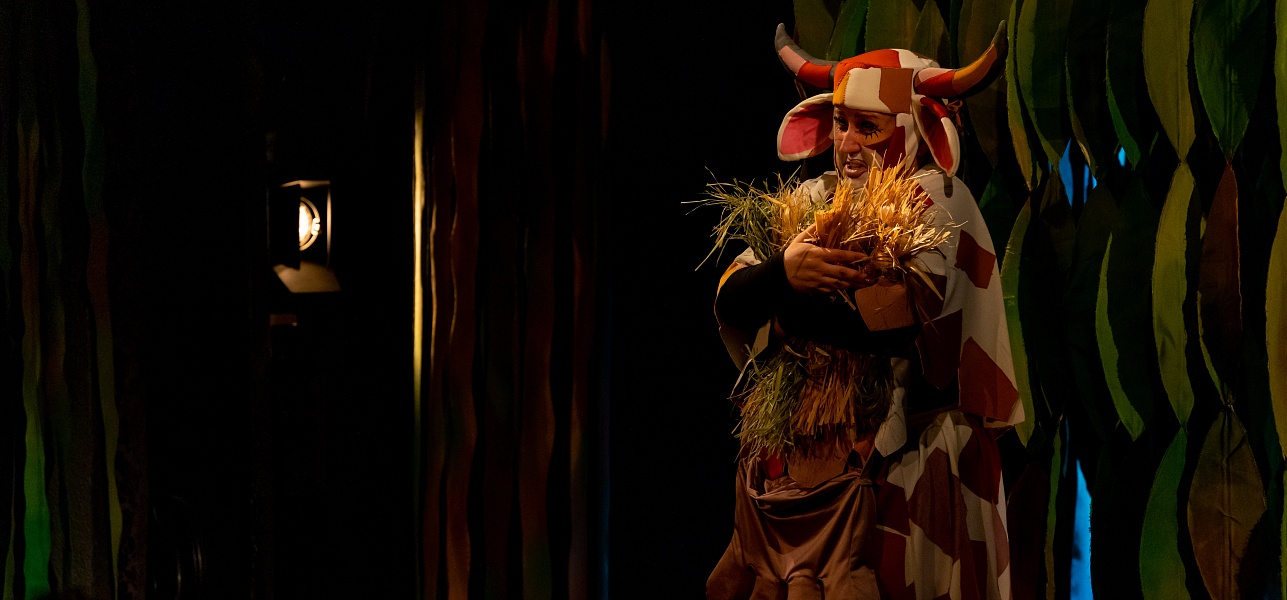 Дикая история в Новом театре кукол