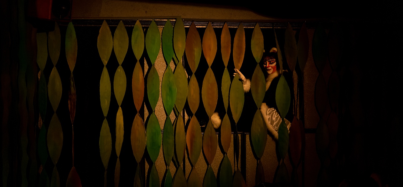 Дикая история в Новом театре кукол