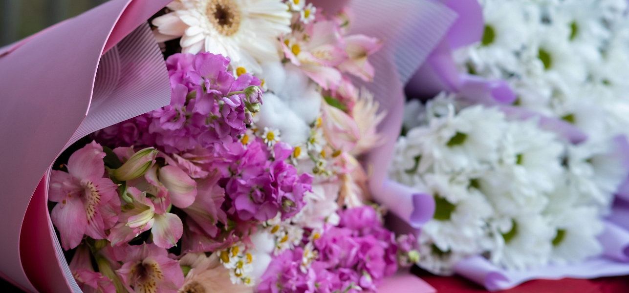 Пушкин, песни, балалайка