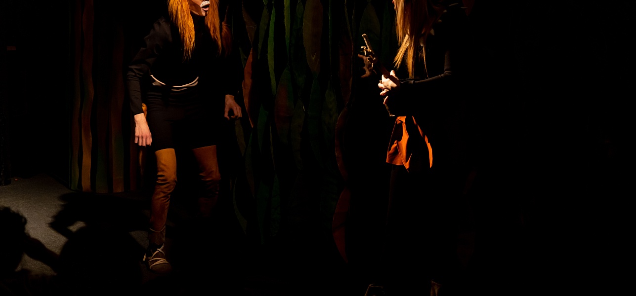 Дикая история в Новом театре кукол