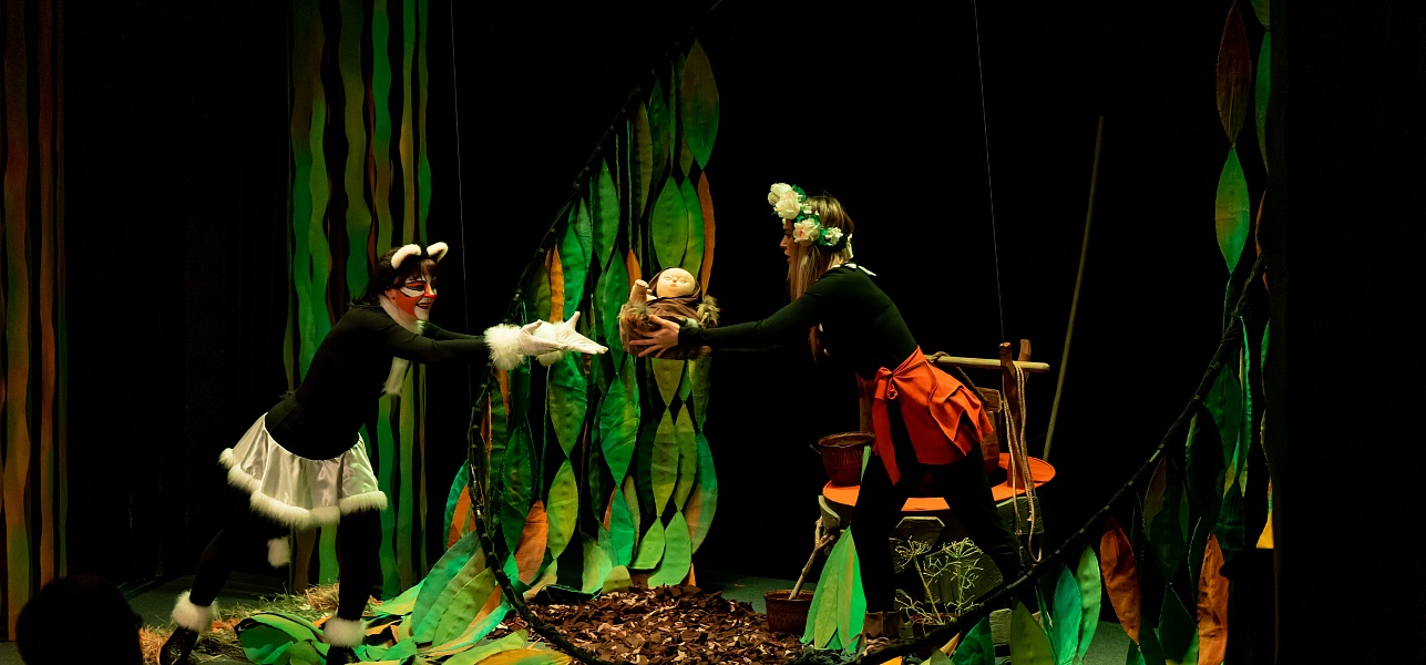 Дикая история в Новом театре кукол