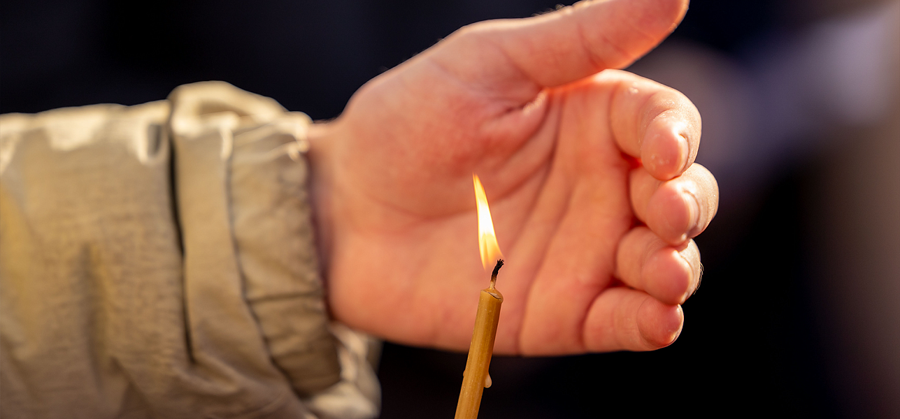 Народник и академик