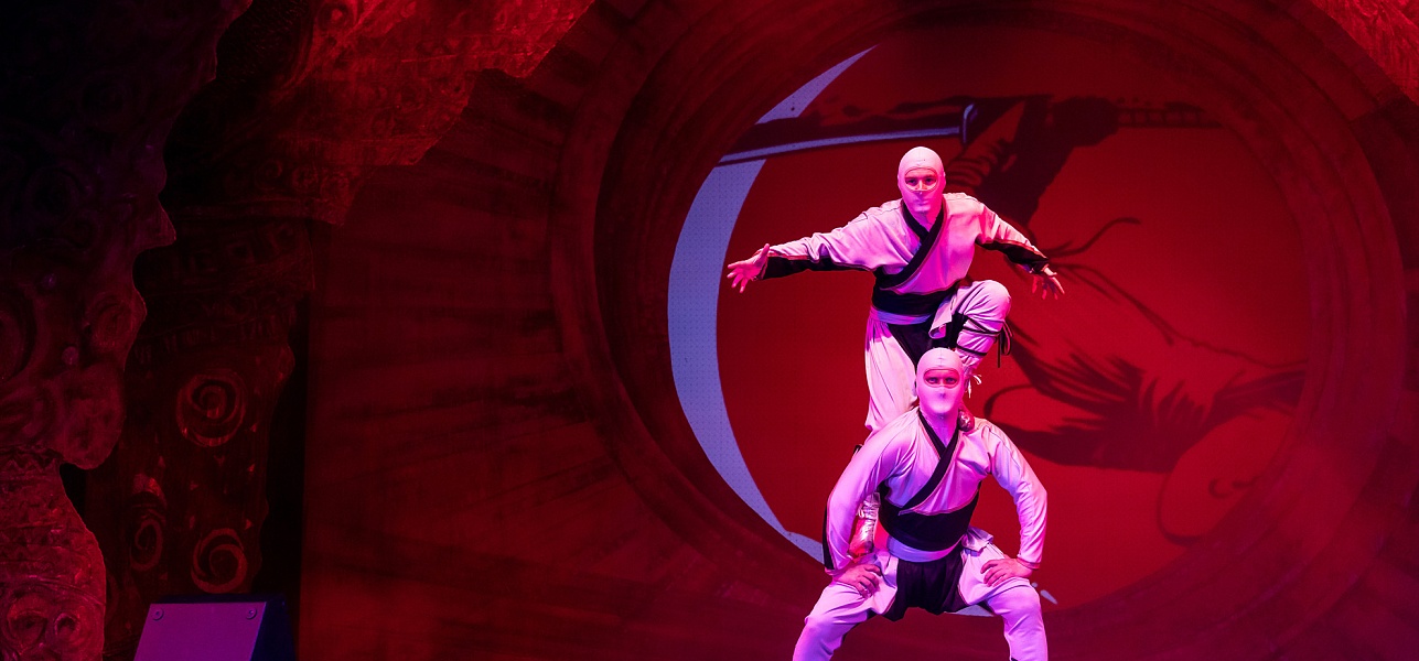 В эти выходных во Дворце искусств зрители увидели шоу "Магия Солнца"