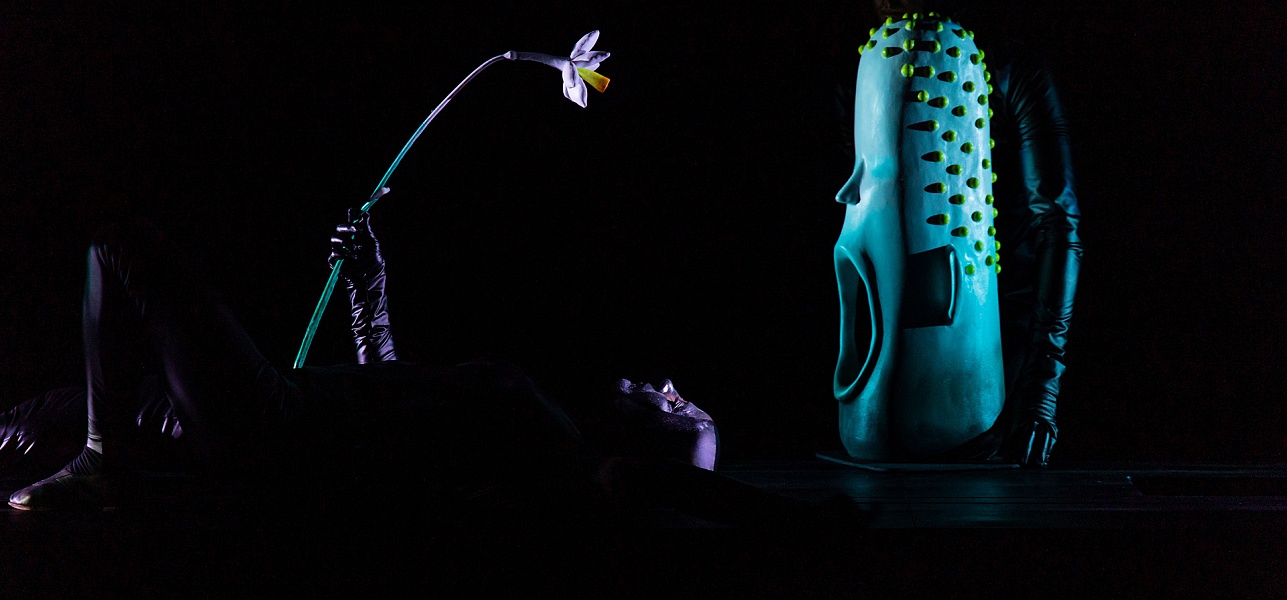 Овидий не подкачал!