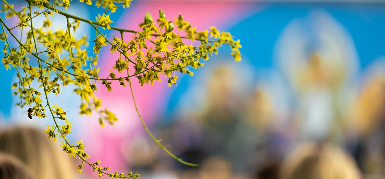 Браво, брависсимо и «Вивальдиссимо»