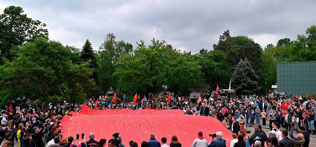 Одуванчики на крови