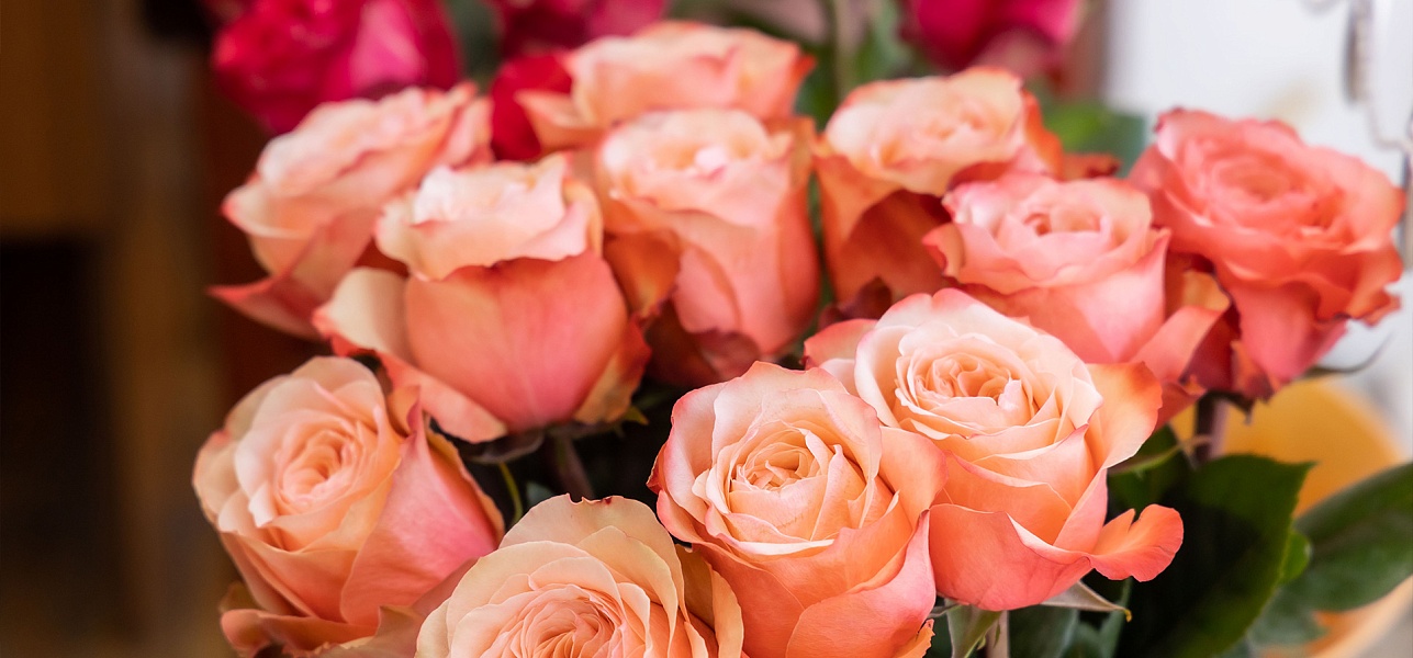 Родная душа